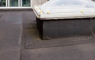 disadvantages of Bryn Yr Eos flat roofs