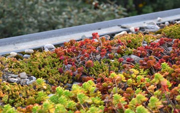 the cost of Bryn Yr Eos green roof installation