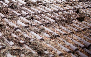 Bryn Yr Eos roof cleaning companies