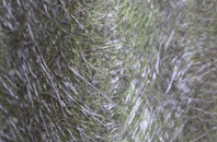 Bryn Yr Eos fibreglass roof work